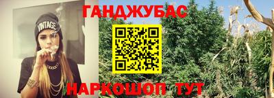 шишки Краснодар