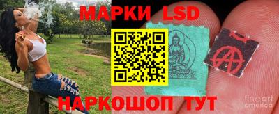 шишки Краснодар
