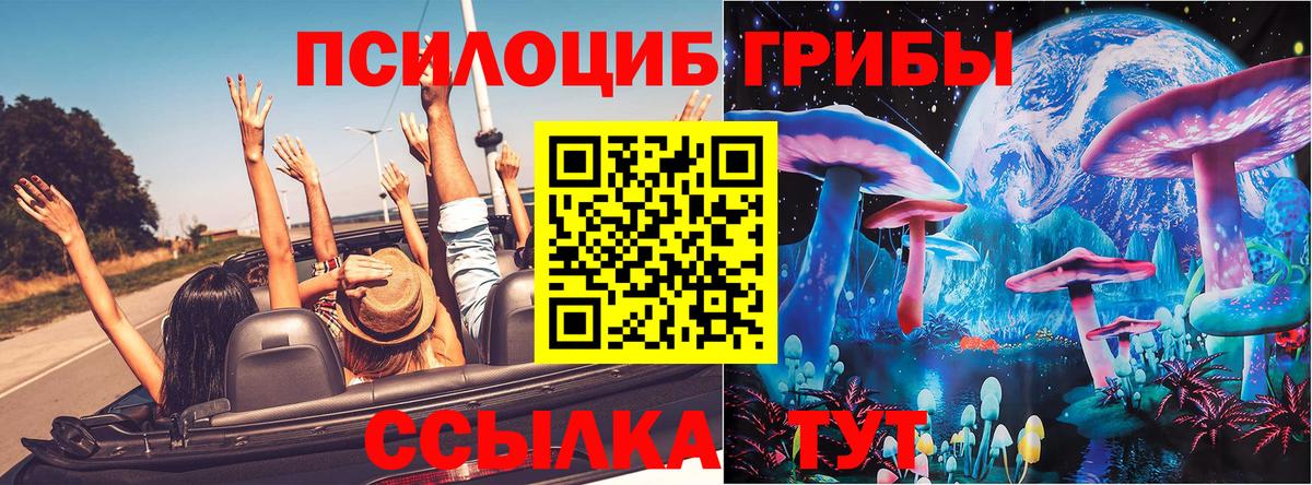 Галлюциногенные грибы Psilocybine cubensis Йошкар-Ола